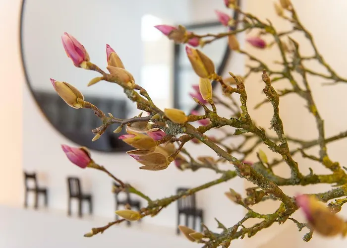 Zandvoort Studio Apartman Zandvoort