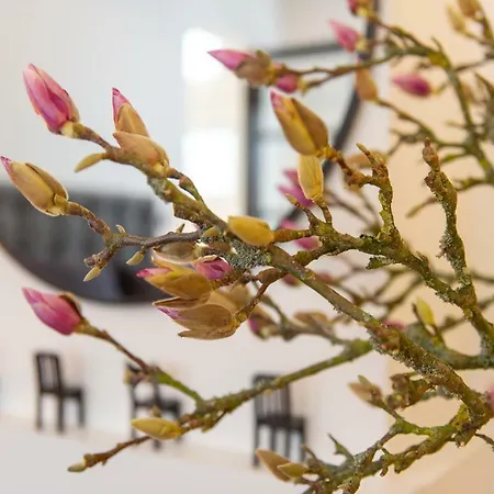 Zandvoort Studio Lägenhet Zandvoort