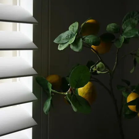 Zandvoort Studio Apartamento